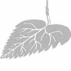 Gartenbau Güdemann GmbH