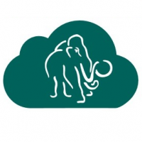 Mammut Soft Computing AG