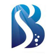 Blue Spirit Communication AG