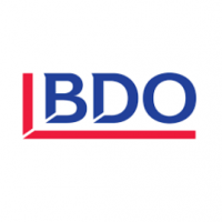 BDO Visura