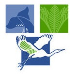 Whangaparaoa College